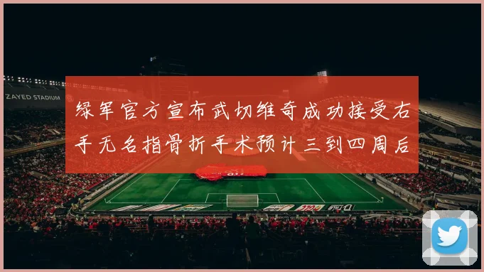 绿军官方宣布武切维奇成功接受右手无名指骨折手术预计三到四周后复查