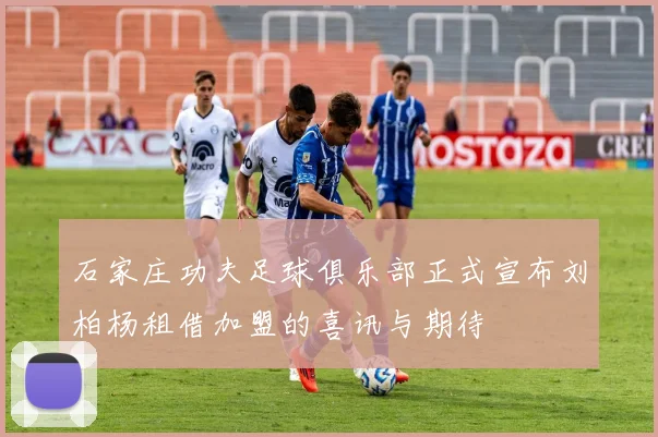 石家庄功夫足球俱乐部正式宣布刘柏杨租借加盟的喜讯与期待