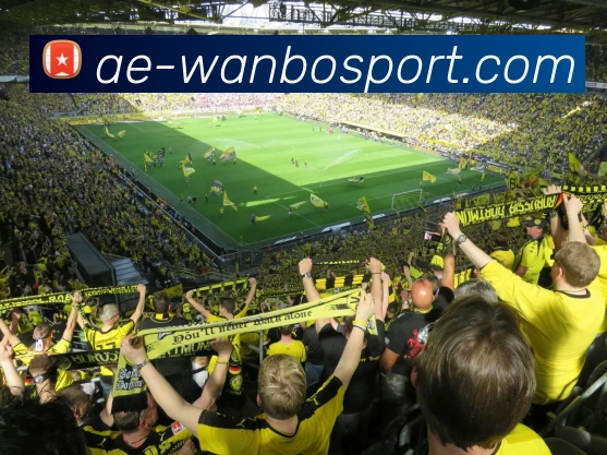 万博足球官网品牌故事