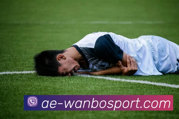 万博足球官网服务体系